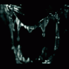 post_26_1140035873.gif