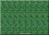 green.jpg
