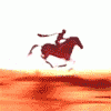 157.gif