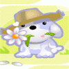3.gif