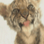 JP_leo.gif