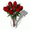 dozen_red_roses_expand_vase_md_wht_1_.gif