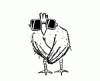 1147180298_www_druzi_ru_669_0_20060509_5164.gif