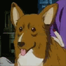 Ein_panting.gif