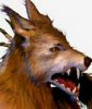 120x140_image32_animaux.jpg