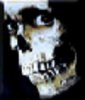 120x140_image50.jpg