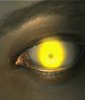 120x140_image07_eyes.jpg