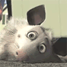 14751_prev_98.gif