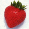8d451eed3ac506f4.gif