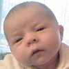 msndollzu_1119071098.gif
