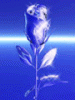 4410591.gif