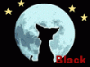 4751447.gif