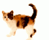 34d234a4ba04f4614ff0cbe65d5810a1.gif