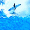 av_5214.gif