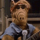av_16646.gif