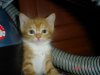 DSC022842.jpg