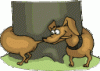 5e1f036fbb73.gif