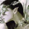 1485832_5900644044cb6a18956c6.gif