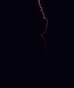 black99.gif