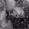 872683.gif