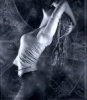 12661784_6.gif
