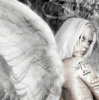 1822a67d81c2.gif