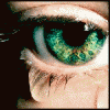11880822_eye1.gif