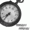 4828111_avikvuybor.gif