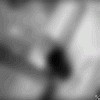 10537366_64778006446799taralp2123jm.gif