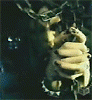 thth191907734_l.gif