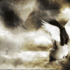 03286c88845d8e9a65f7e7c7b1c8fbb2.gif