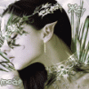 139160_acae0a0a44aea1b27c57b.gif