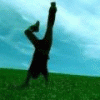 10536434.gif