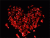 14170420_21.gif
