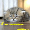 14394866_7e634d9f2bc4c95404c261b8563.gif
