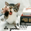 14395122_e749a4c359b2af57cef44bfbeb7.gif