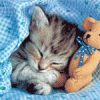 14396068_7769_ext.gif