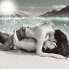 av_1554.gif