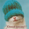 av_7737.gif