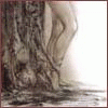 8234703_3386478.gif