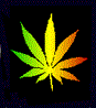 abb4e5137c5b.gif