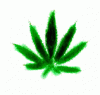 fiori040.gif