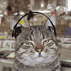 post_4286_1155297559.gif