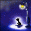 blackcat48.gif